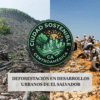 Campos de deforestación y reforestación en Nuevo Cuscatlan