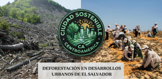 Campos de deforestación y reforestación en Nuevo Cuscatlan