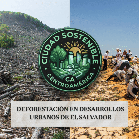 Campos de deforestación y reforestación en Nuevo Cuscatlan