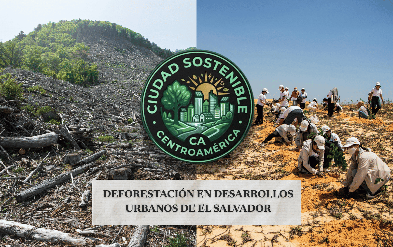 Campos de deforestación y reforestación en Nuevo Cuscatlan