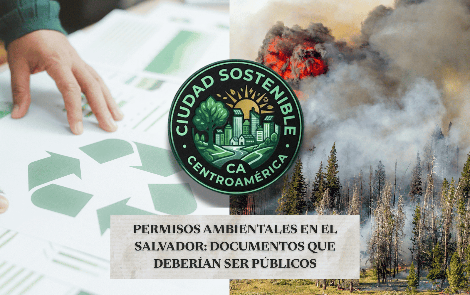 Bosque quemandosé y una mano sobre logo de reciclaje