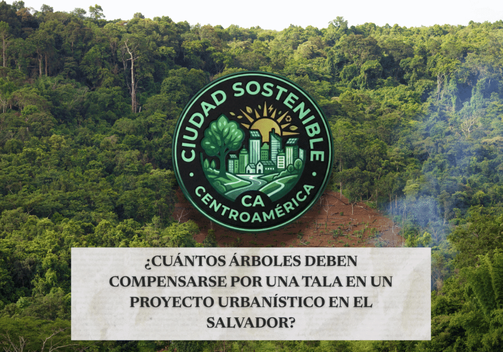 Gráfico de Ciudad Sostenible sobre la normativa de compensación de árboles por tala en proyectos urbanísticos de El Salvador, mostrando una zona boscosa con un área deforestada.
