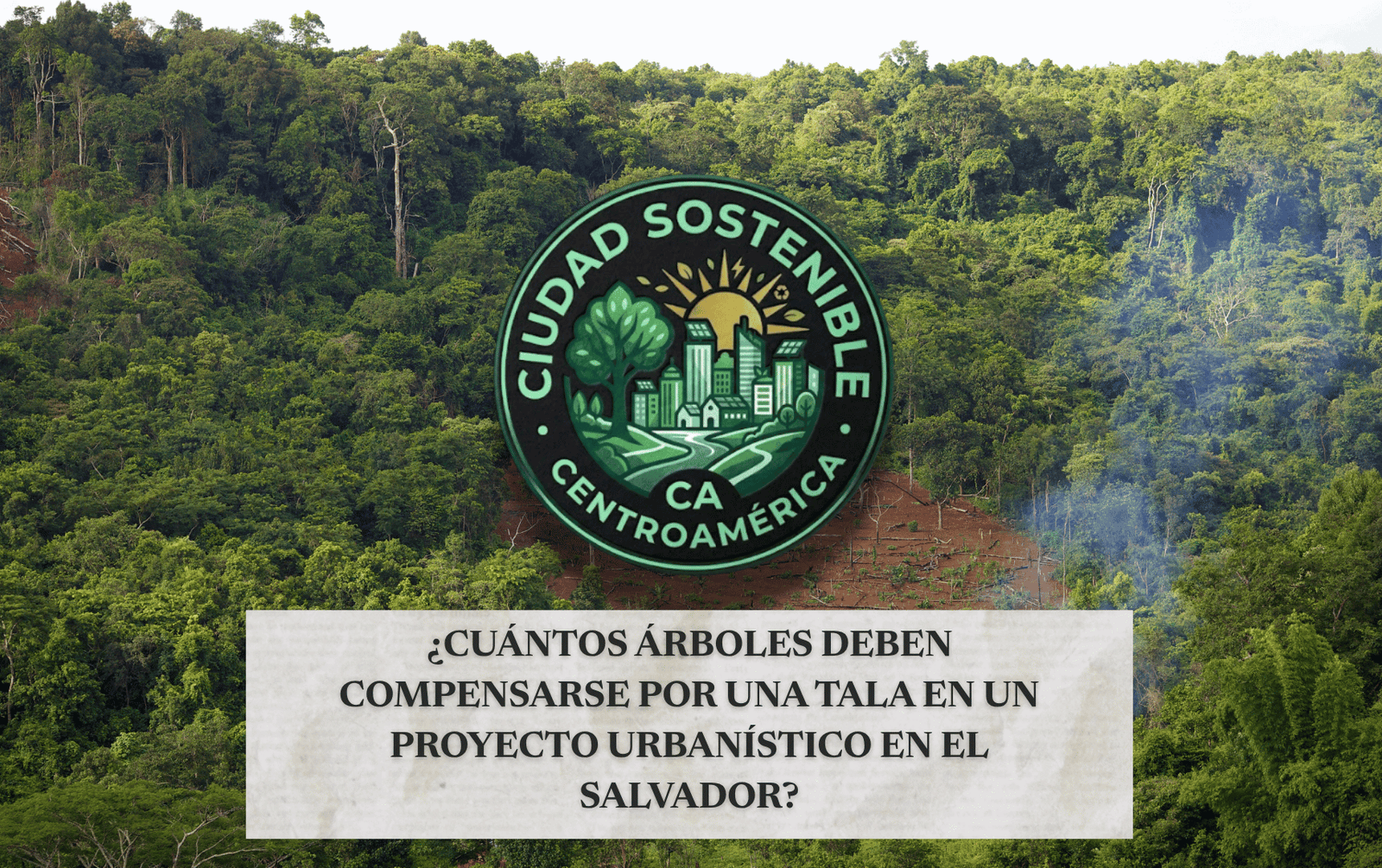Gráfico de Ciudad Sostenible sobre la normativa de compensación de árboles por tala en proyectos urbanísticos de El Salvador, mostrando una zona boscosa con un área deforestada.