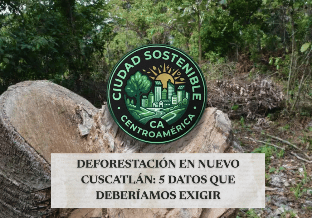 Guía visual sobre qué revisar respecto al impacto de nuevas construcciones y la deforestación, mostrando el render de un masivo complejo arquitectónico circular ubicado en medio de una densa zona boscosa.