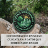 Guía visual sobre qué revisar respecto al impacto de nuevas construcciones y la deforestación, mostrando el render de un masivo complejo arquitectónico circular ubicado en medio de una densa zona boscosa.