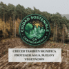 Gráfico de Ciudad Sostenible destacando que el crecimiento urbano debe proteger el agua, suelo y vegetación, mostrando el contraste entre un terreno deforestado y un bosque denso.