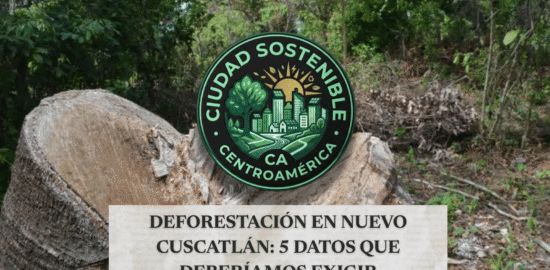 Guía visual sobre qué revisar respecto al impacto de nuevas construcciones y la deforestación, mostrando el render de un masivo complejo arquitectónico circular ubicado en medio de una densa zona boscosa.