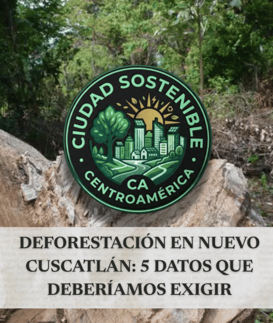 Guía visual sobre qué revisar respecto al impacto de nuevas construcciones y la deforestación, mostrando el render de un masivo complejo arquitectónico circular ubicado en medio de una densa zona boscosa.