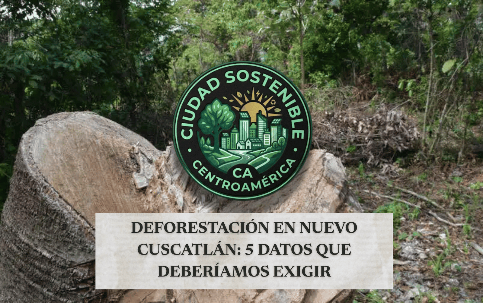Guía visual sobre qué revisar respecto al impacto de nuevas construcciones y la deforestación, mostrando el render de un masivo complejo arquitectónico circular ubicado en medio de una densa zona boscosa.