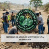 Siembra de árboles nativos como maquilishuat en una zona en recuperación