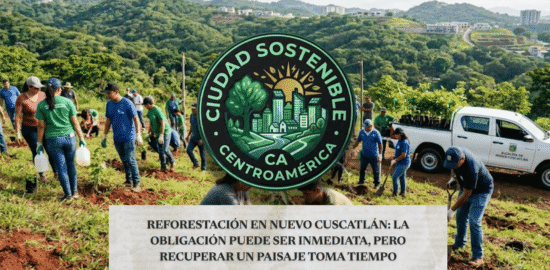 Reforestación y compensación de árboles en Nuevo Cuscatlán