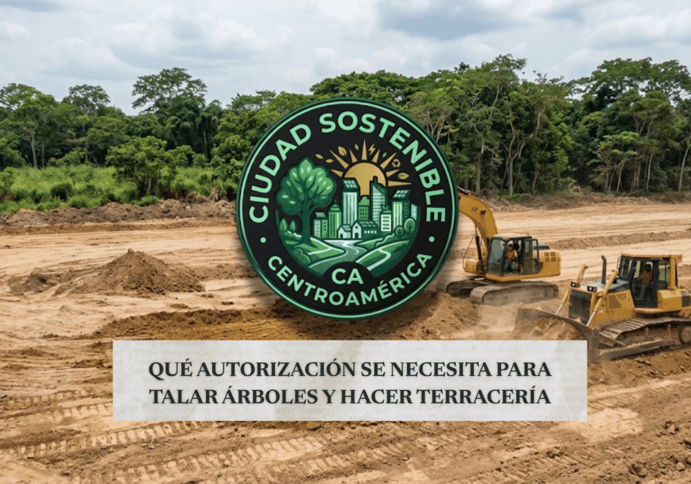 Maquinaria de terracería trabajando sobre un terreno con árboles al fondo