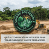 Maquinaria de terracería trabajando sobre un terreno con árboles al fondo