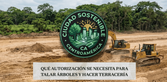 Maquinaria de terracería trabajando sobre un terreno con árboles al fondo