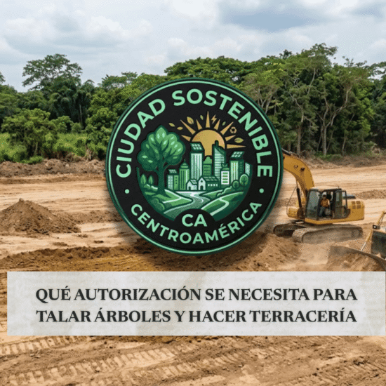 Maquinaria de terracería trabajando sobre un terreno con árboles al fondo