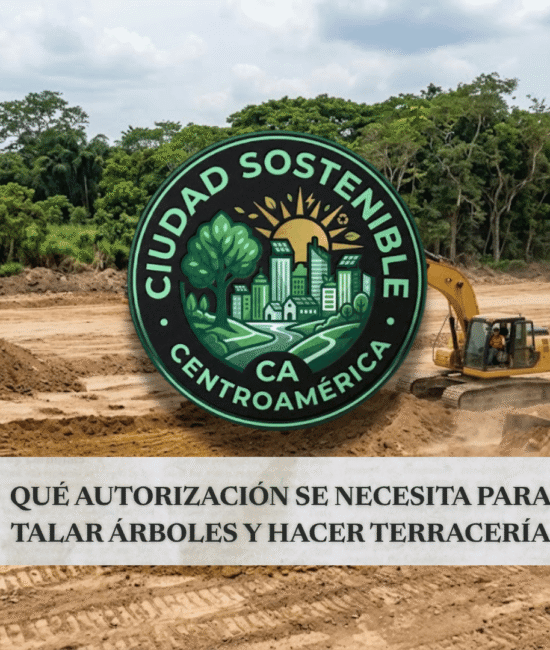 Maquinaria de terracería trabajando sobre un terreno con árboles al fondo